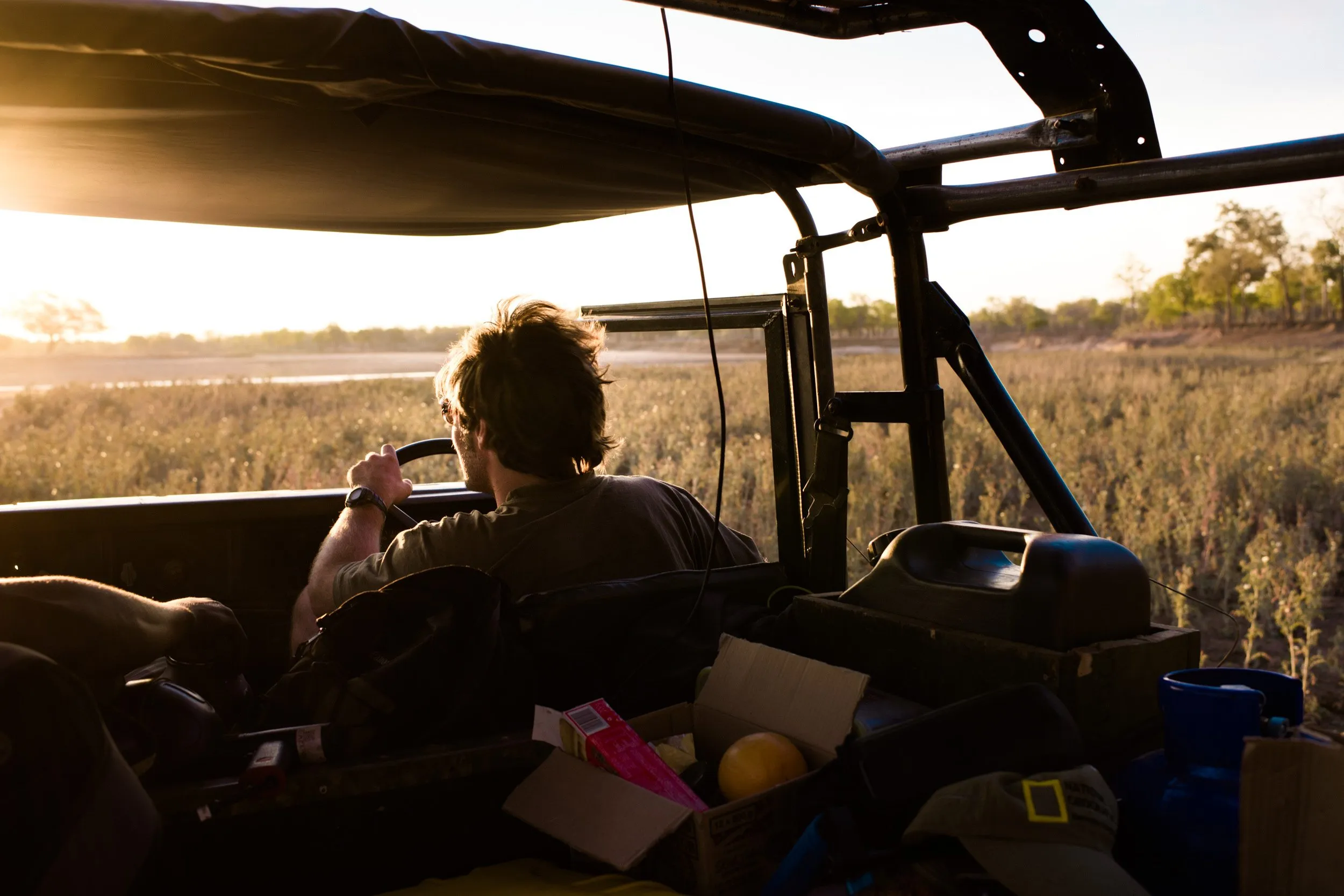 Leaving camp before dawn to find lions before they rest in the day.