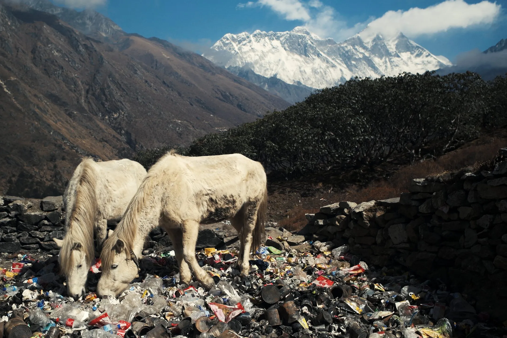 From Martin Edström's documentary work on waste in the Khumbu valley around Mt Everest.
