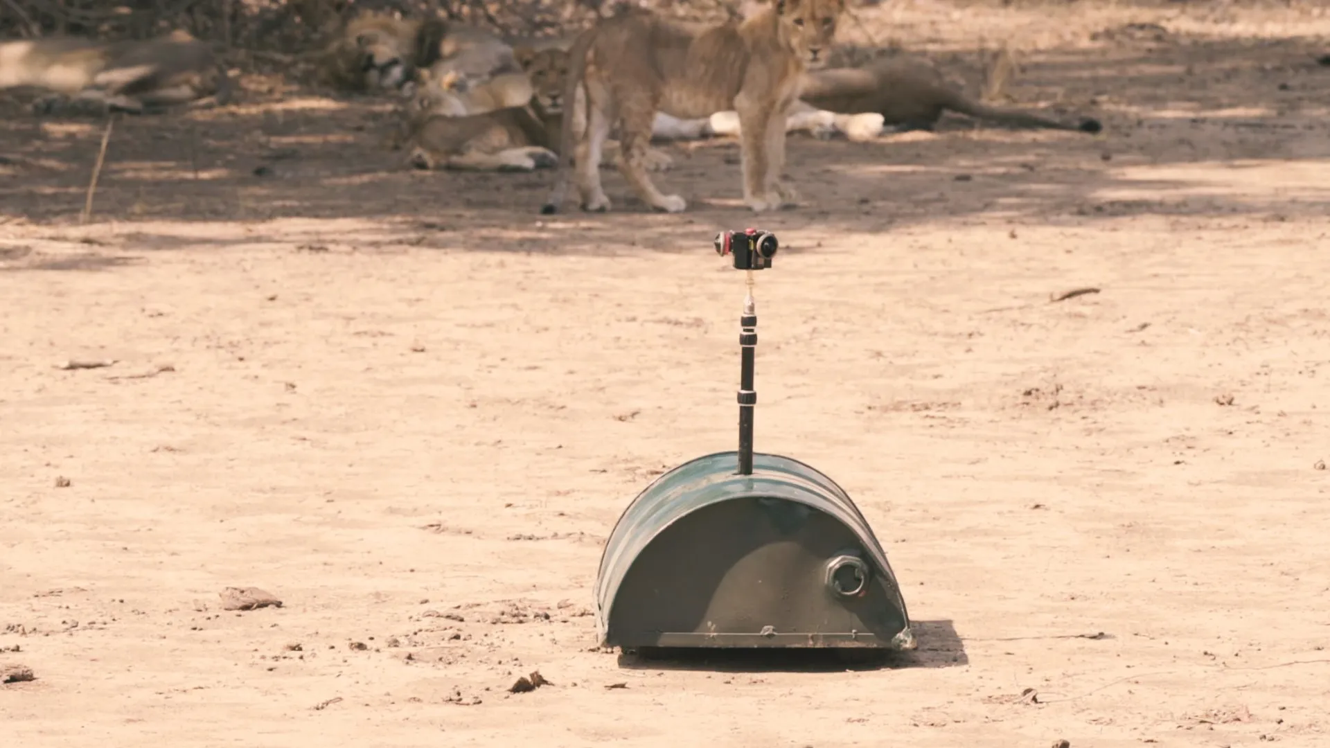 The Droid: a remote-controlled camera platform armored with half an oil barrel.