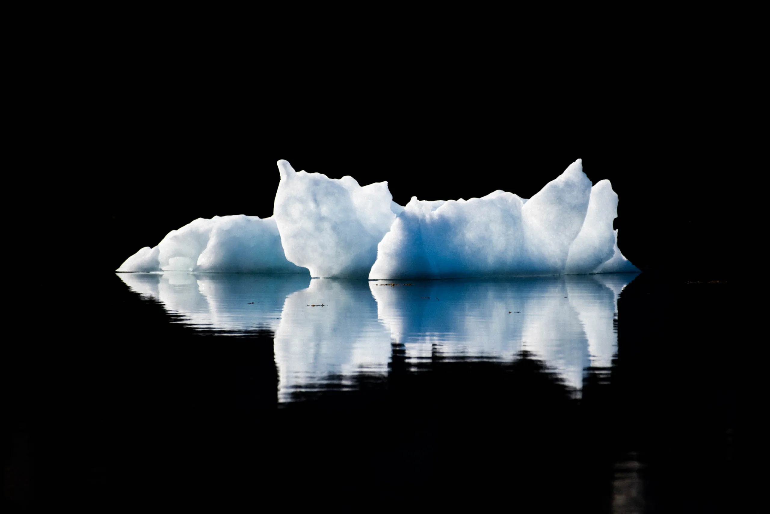 Small white icebergs floating in a line reflected on a black mirror-calm fjord