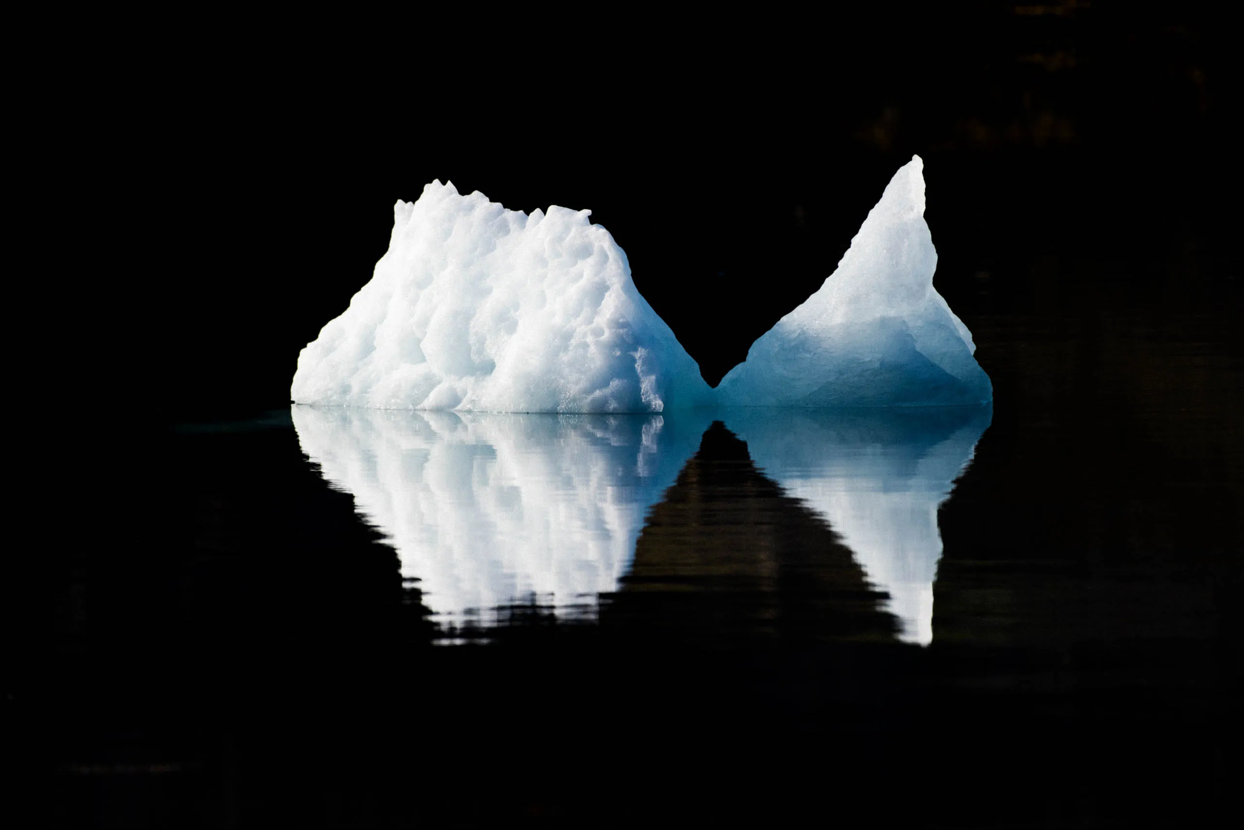 Two sculpted icebergs touching against a black background, reflected in still dark water