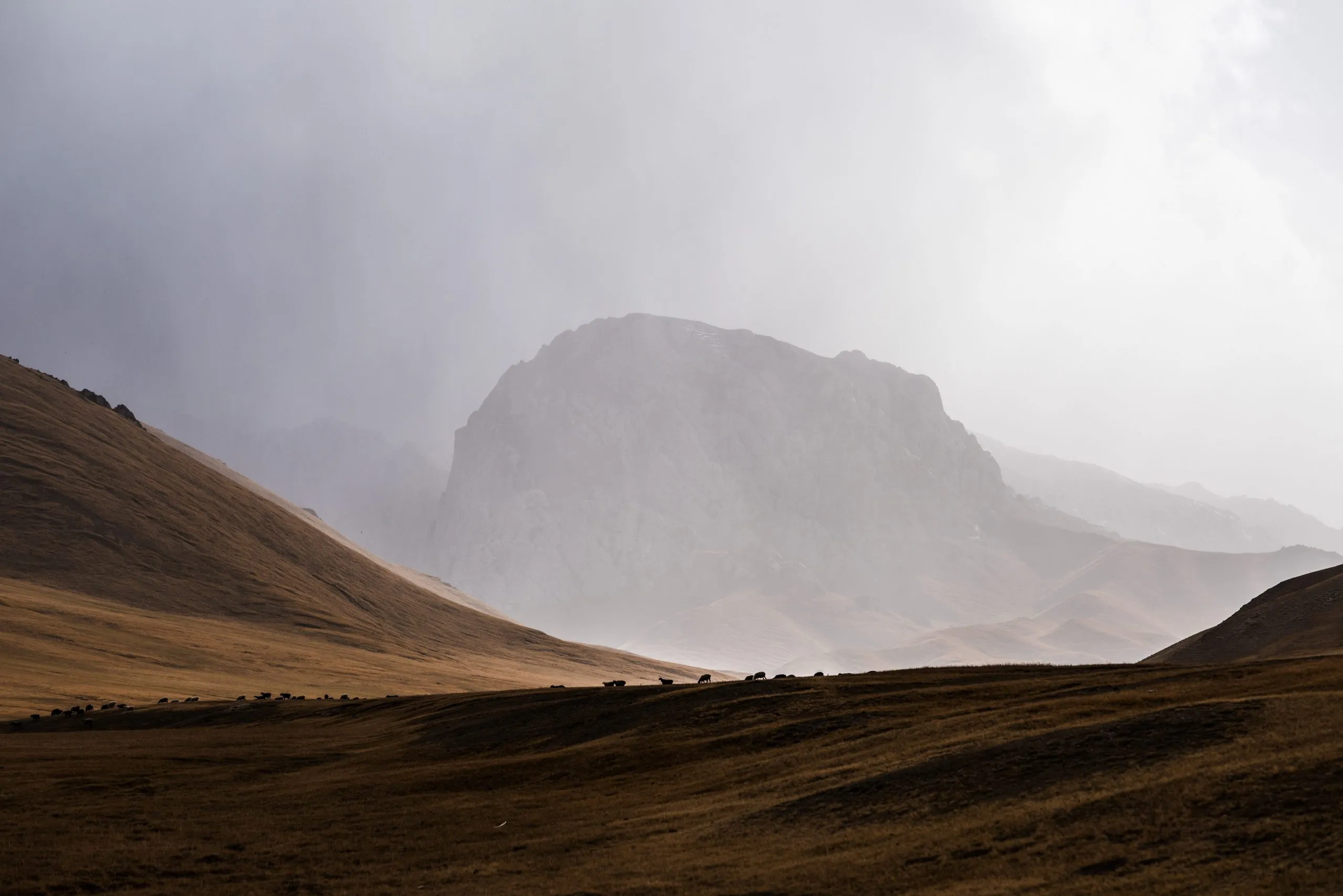 Tiny silhouettes of grazing animals on a tawny ridge in front of a vast Kyrgyz mountain veiled in passing rainshowers.
