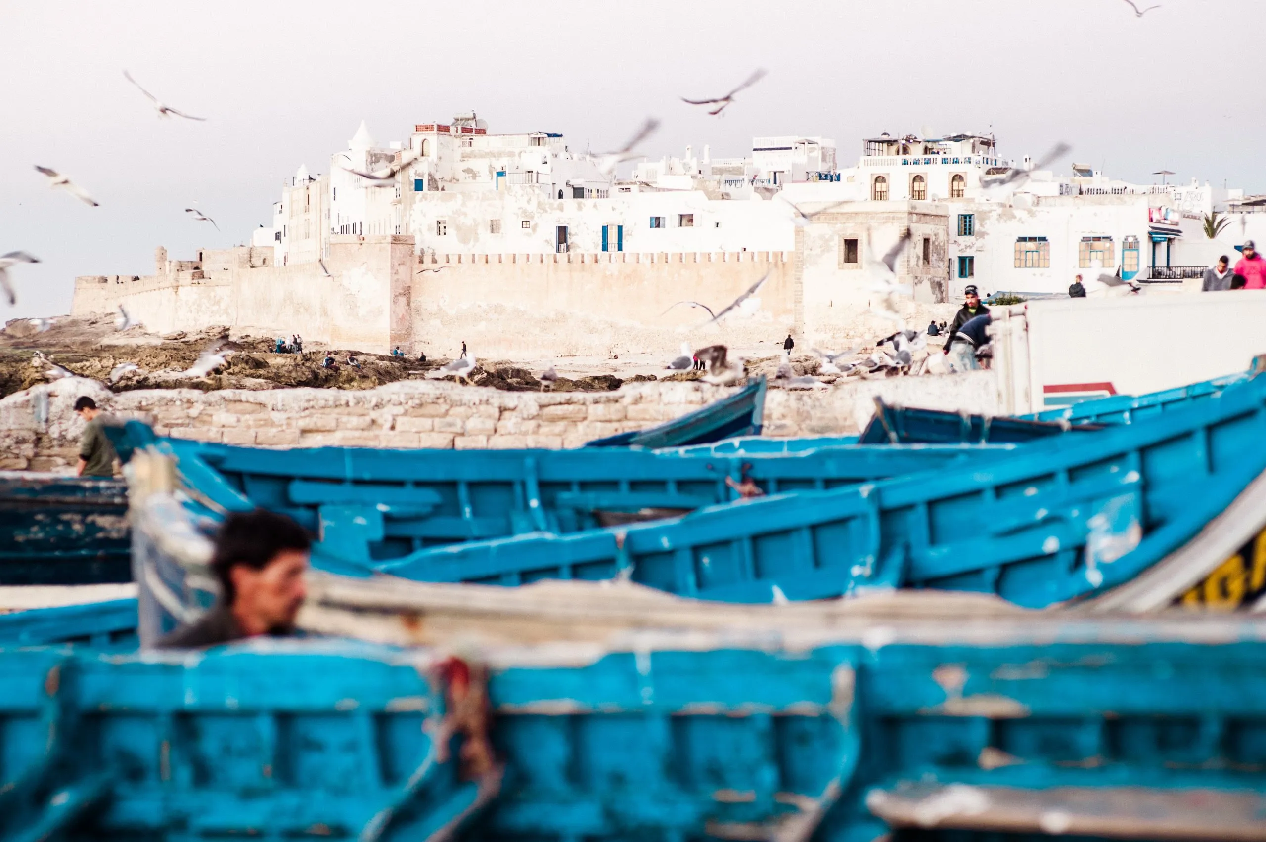 Seagulls circle the white walls of the Essaouira fortress in Morocco, with a fleet of weathered blue fishing boats stacked in the foreground.