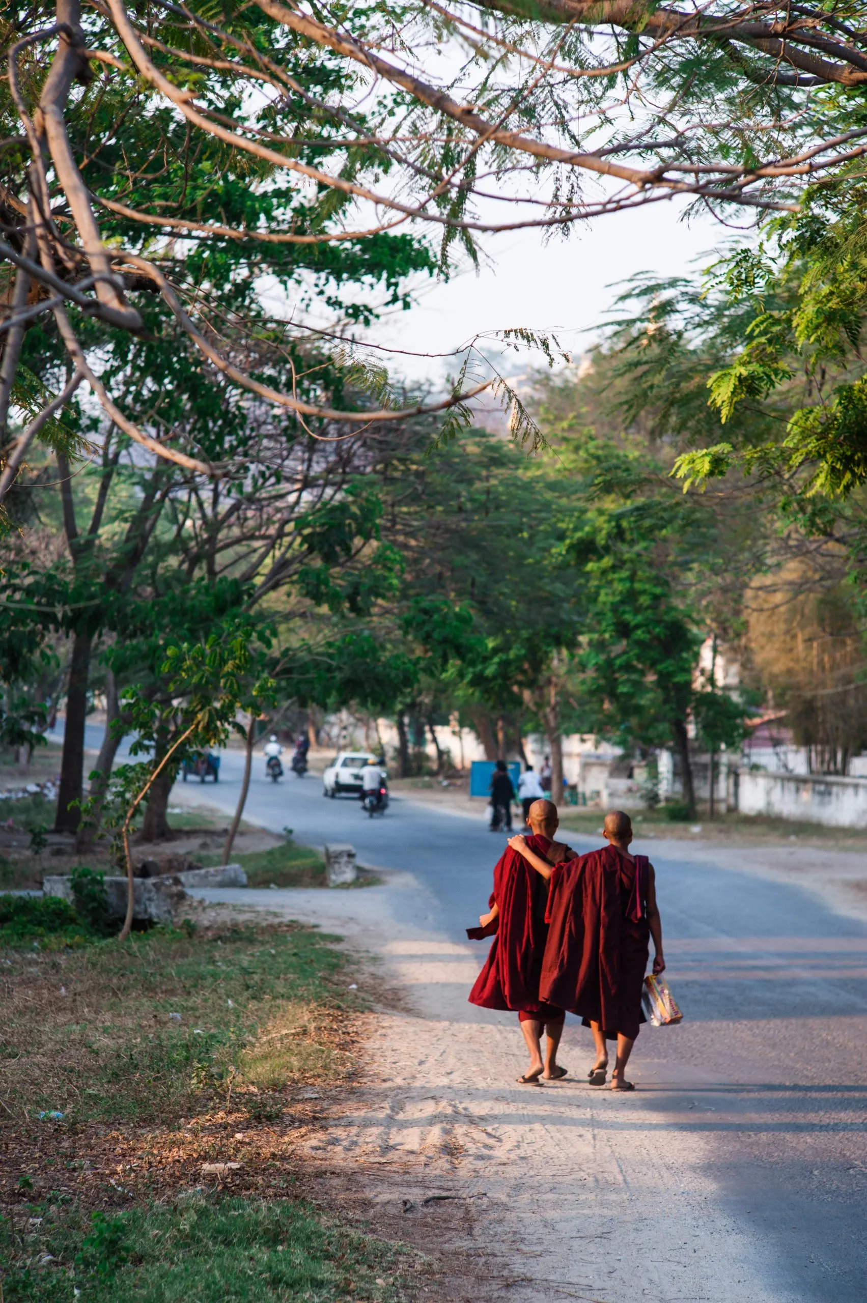 Two young monks in maroon robes walk away down a tree-lined road in Mandalay, Burma.