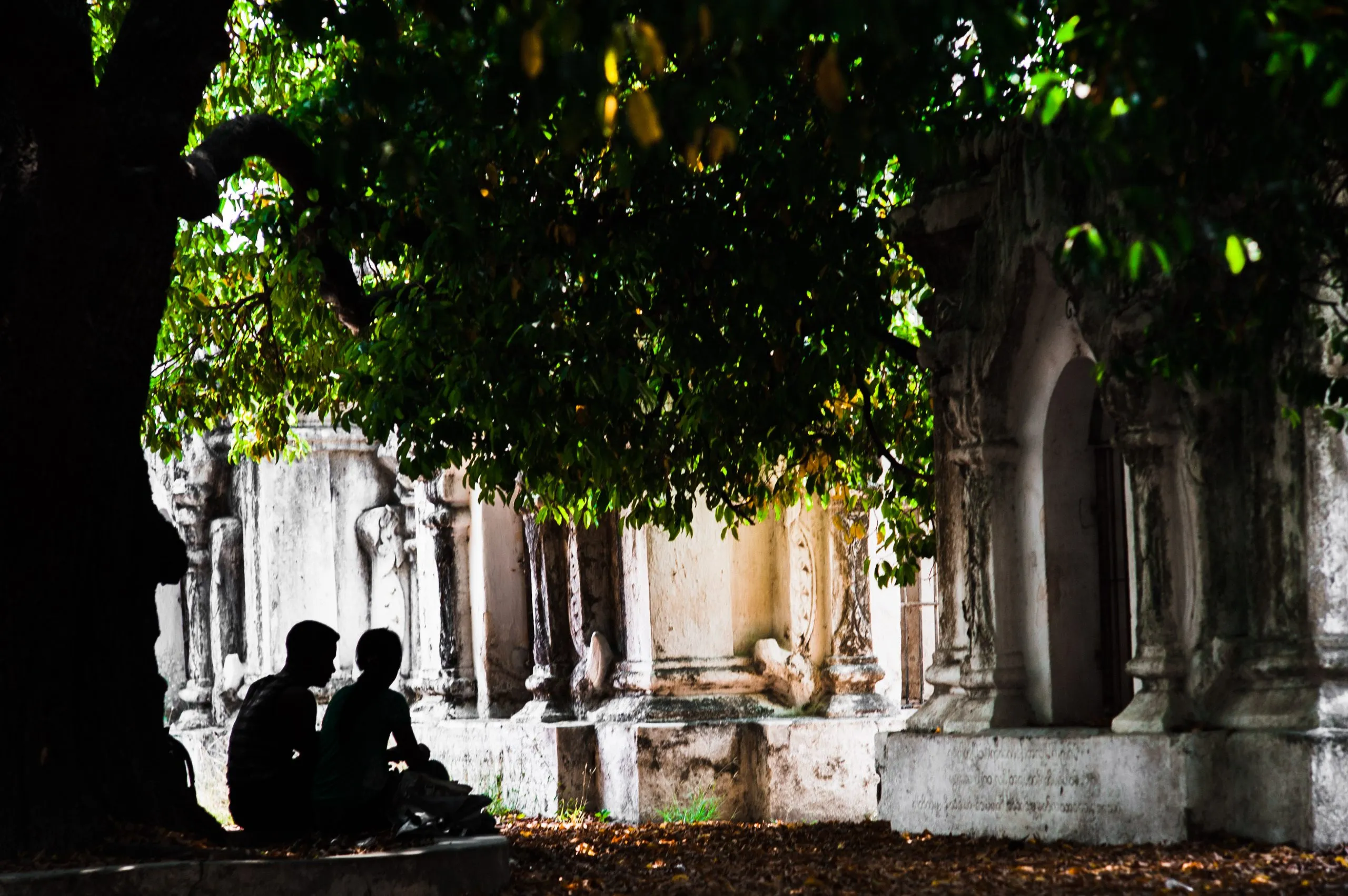 A silhouetted couple sit under a tree among white pagodas at dusk, in Burma.