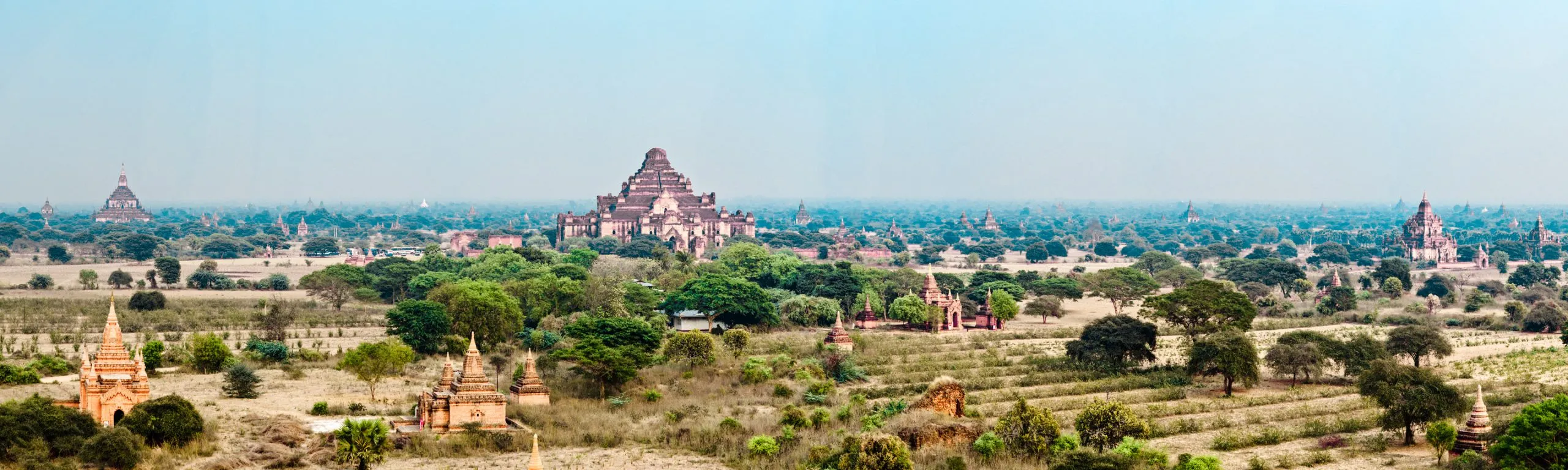 A wide panorama of the temple field at Bagan, with the Dhammayangyi pagoda rising at its centre.