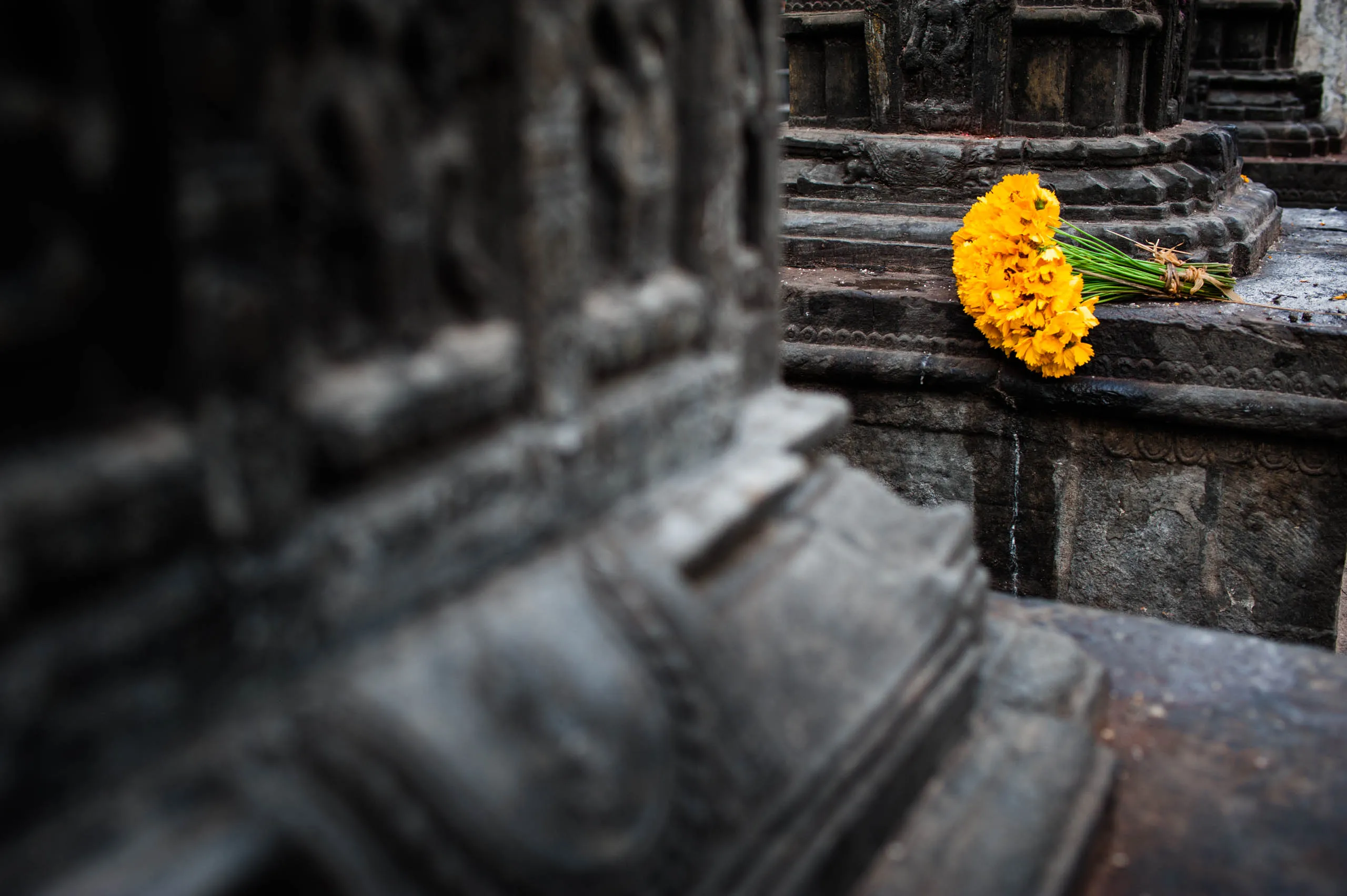 A bouquet of marigold flowers left as an offering on the dark stone steps of Swayambhunath temple.