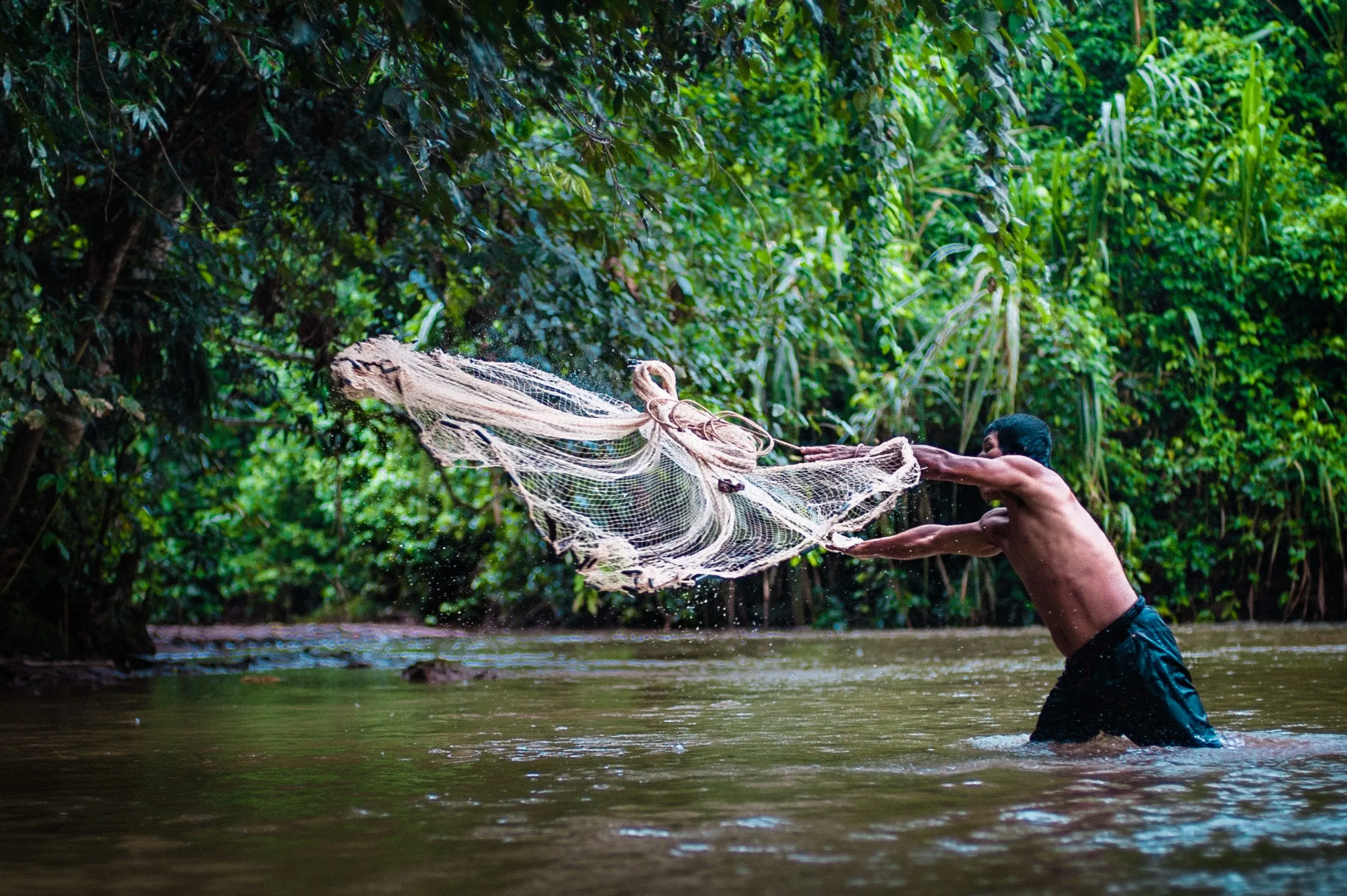 A man casts a fishing net into a forest stream, the net spread mid-air against the green wall of the Peruvian Amazon.