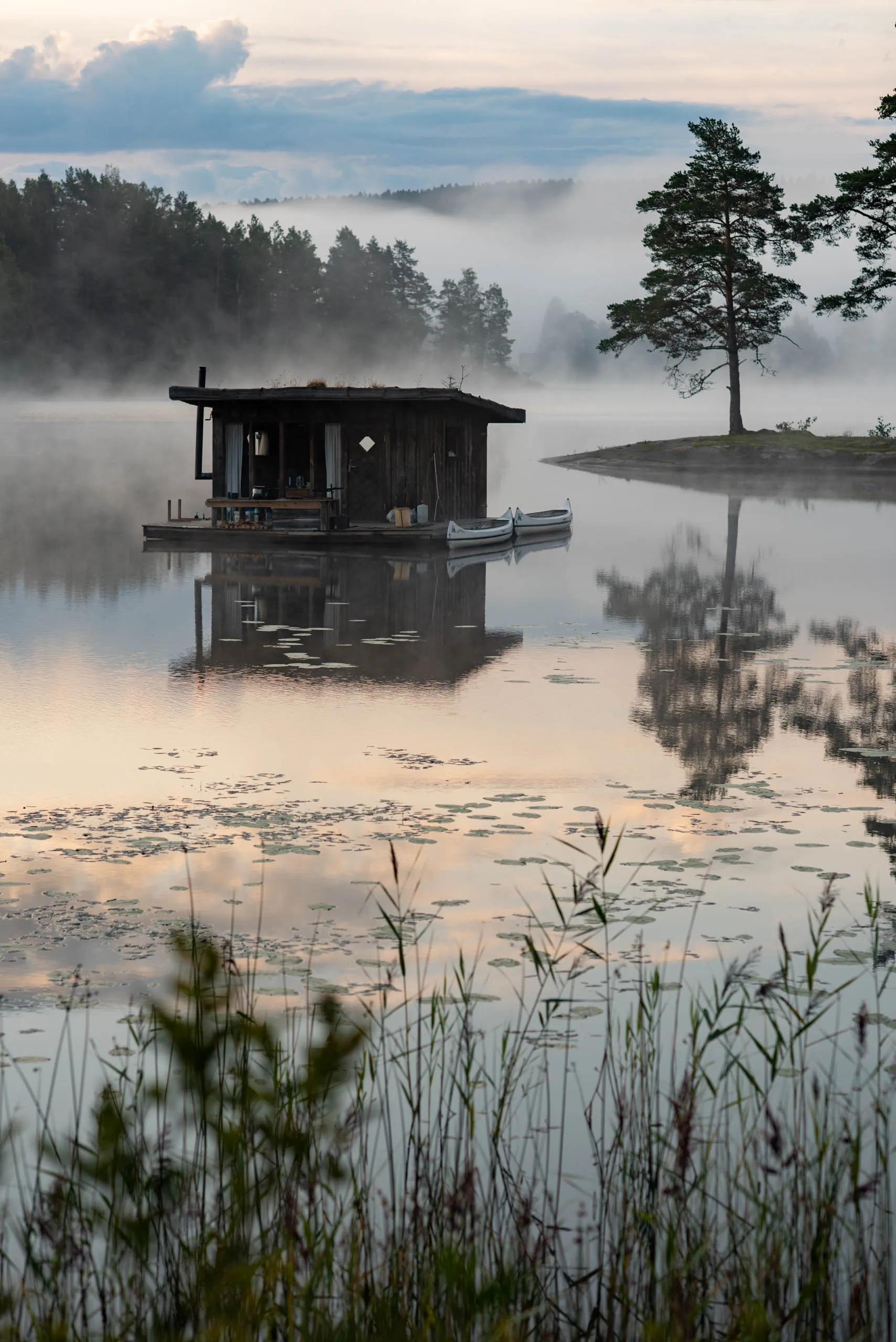 A floating wooden sauna-cabin moored in a misty Swedish lake at dawn, a lone pine on a small island beside it and lily pads scattered across the still water.