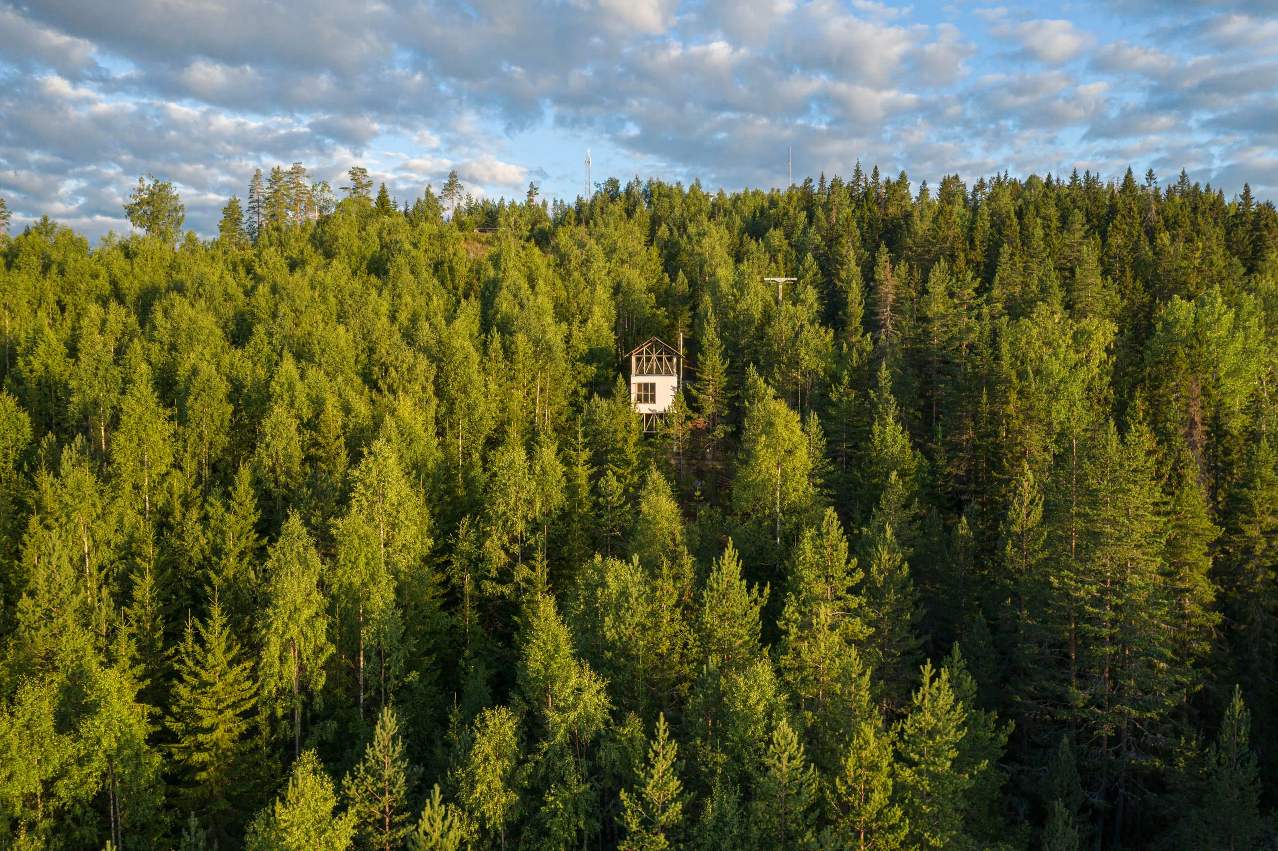 From above, a tiny cabin sits on a forested ridge surrounded by an unbroken canopy of Swedish pine and birch.