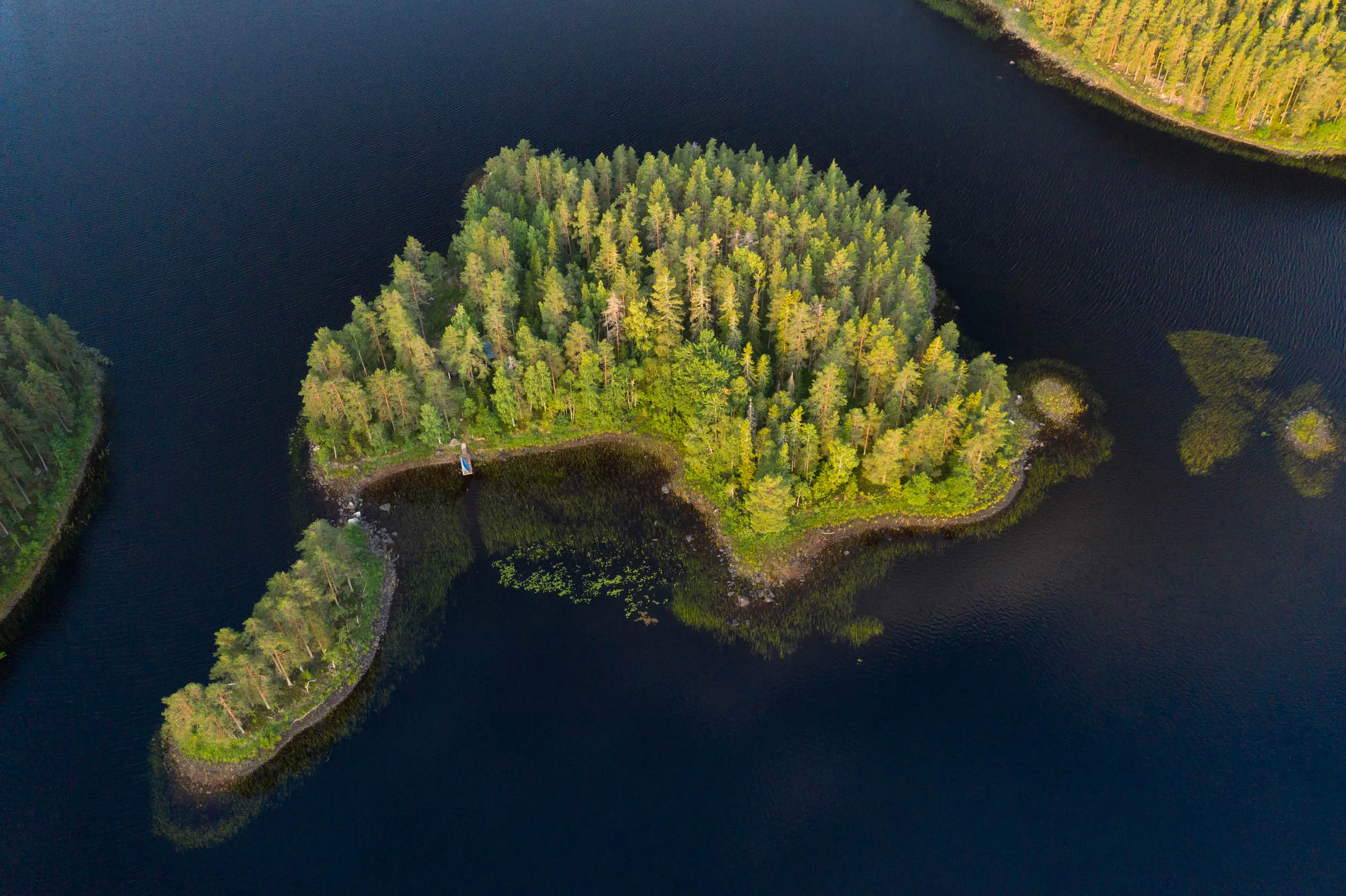 An aerial view of a small forested island in a deep blue Swedish lake at golden hour.