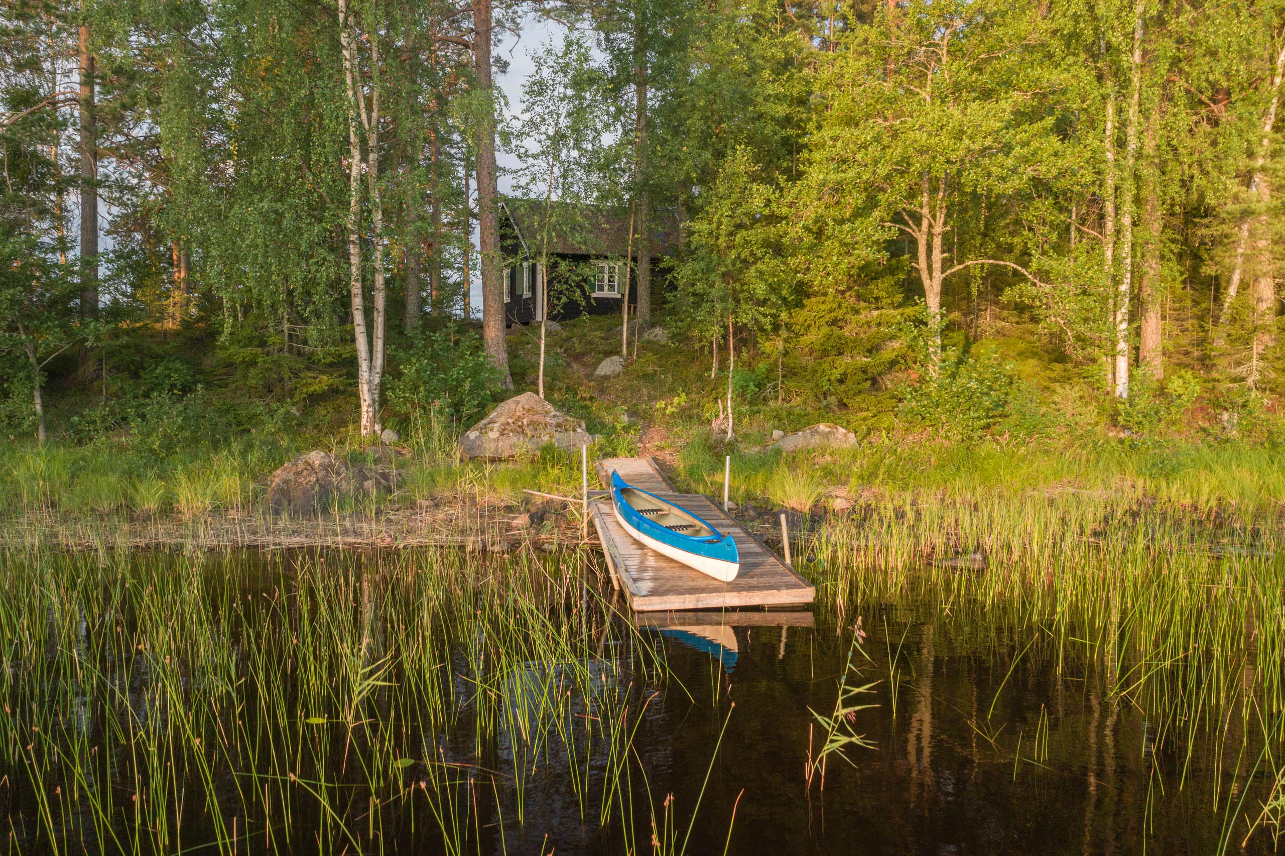 A small lakeside dock holds a paddleboard and life jacket beside a sauna lean-to in a stand of birches.