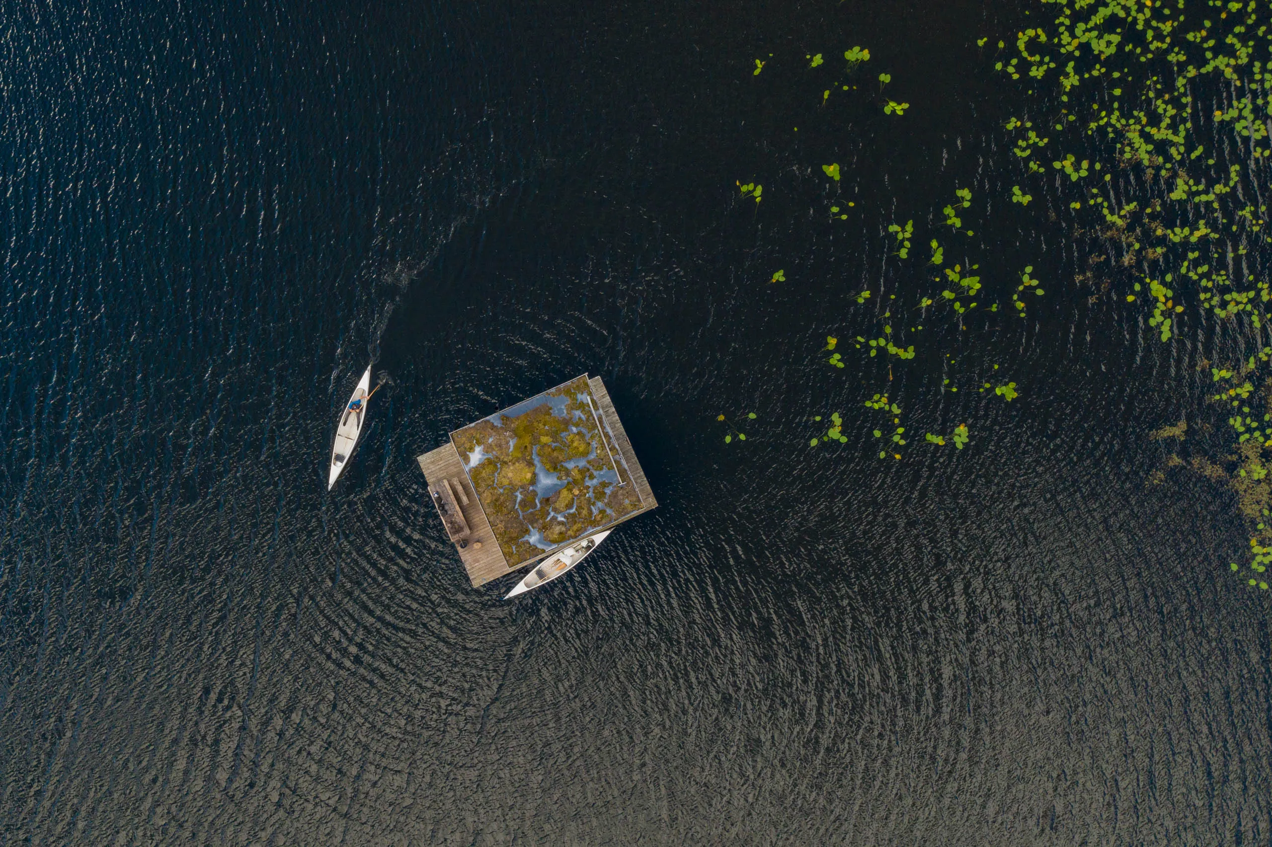 Top-down drone view of the floating sauna with two canoes alongside, dark lake water dotted with patches of green lily pads.