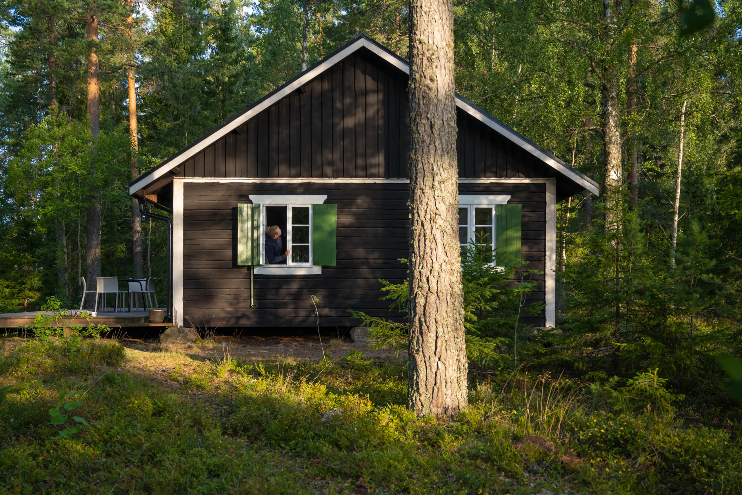 A black-painted wooden cabin with white trim and green shutters tucked into a Swedish pine forest, a person leaning out of an open window.