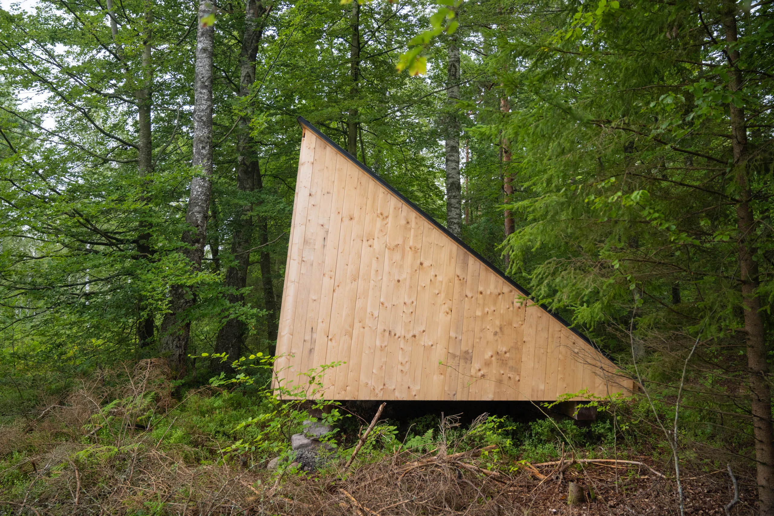 A modern minimalist plywood A-frame shelter set into a beech forest on the High Coast of Sweden, sunlight filtering through the canopy.