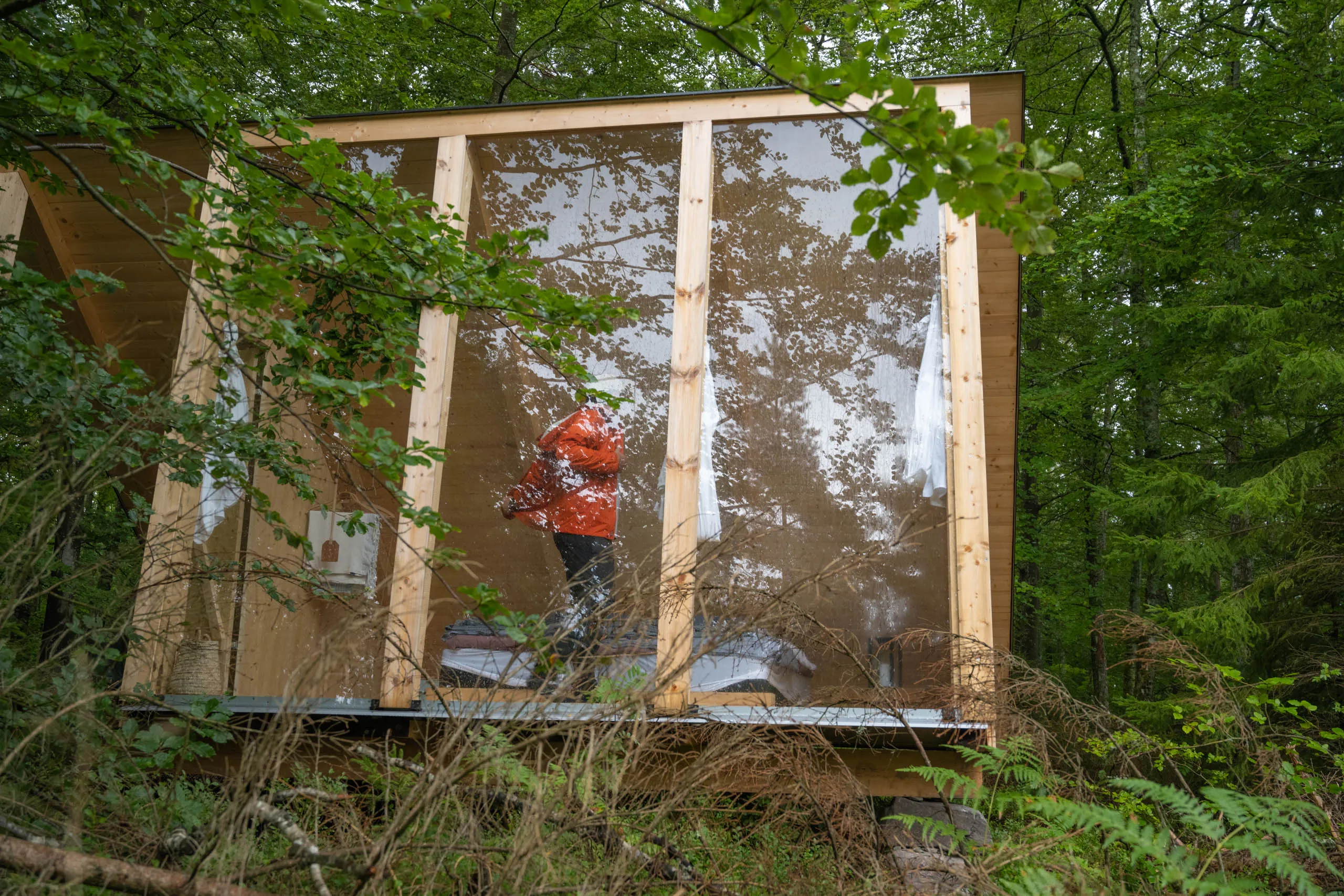 A person in a red jacket inside a wooden-framed shelter with translucent plastic walls, set among beech trees on the High Coast.
