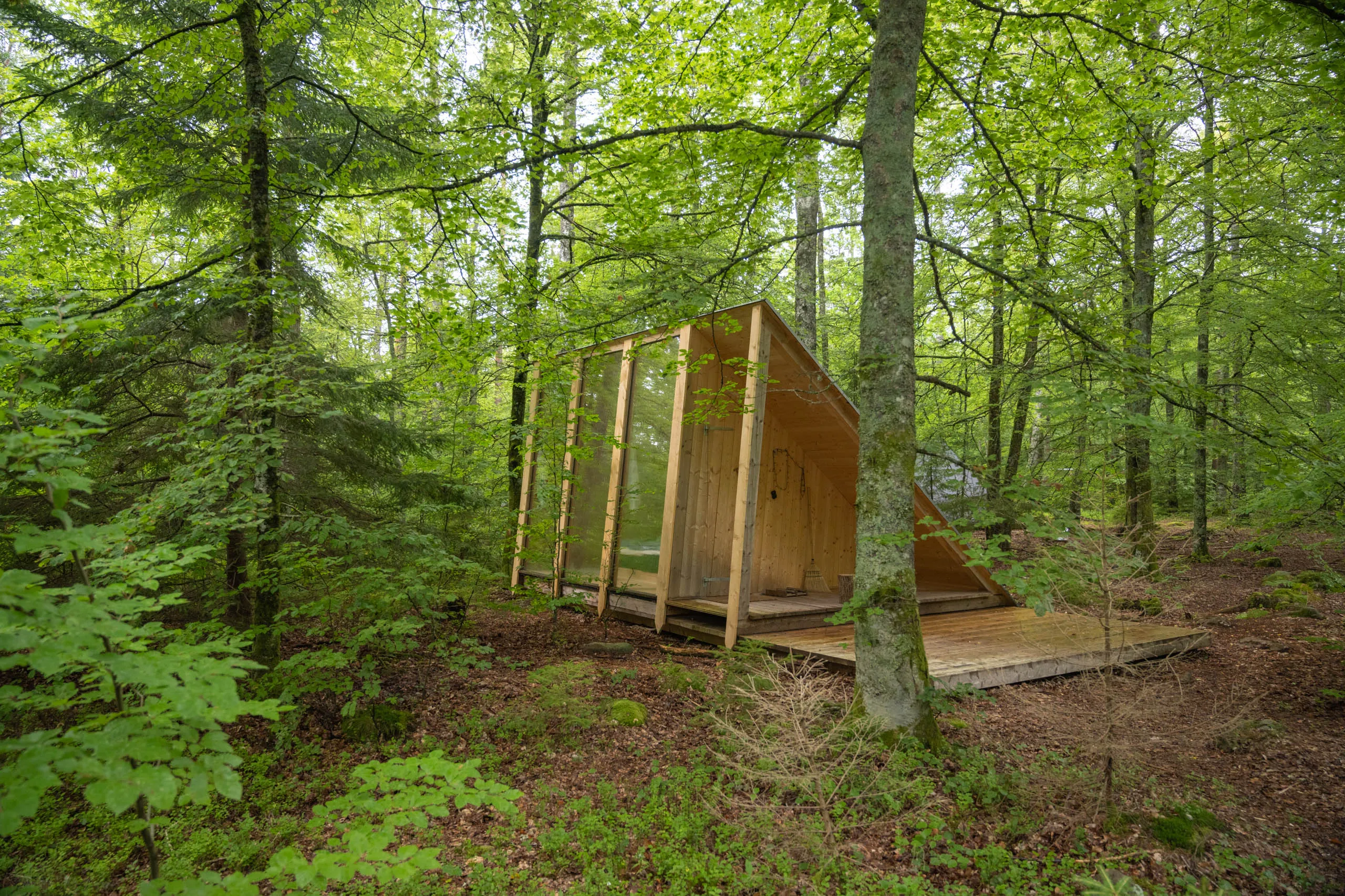 A small plywood A-frame cabin in a mossy beech forest on the High Coast of Sweden.