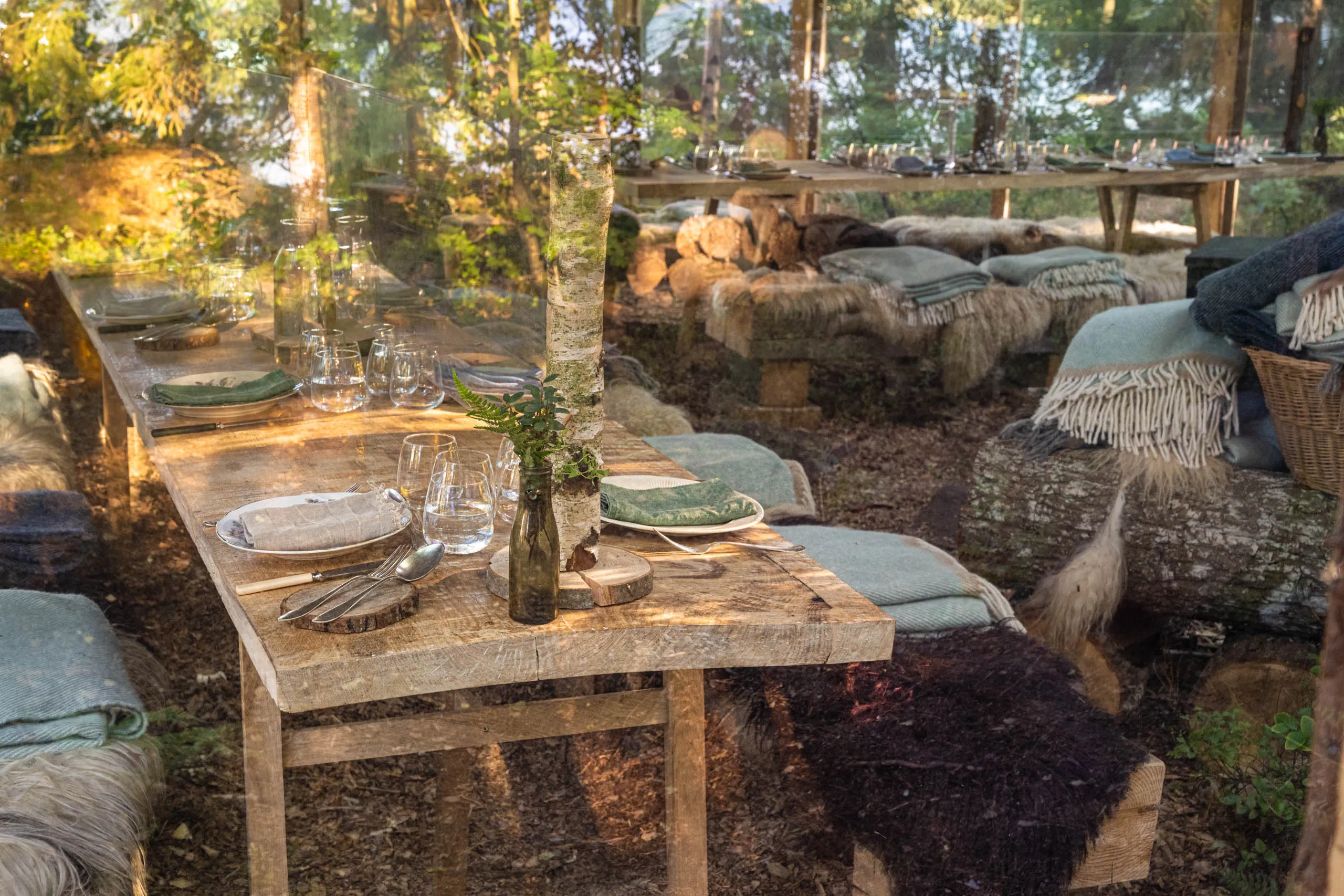 A long wooden dinner table set with plates, glasses and ferns, sheepskin-covered benches running along its sides in the forest setting.
