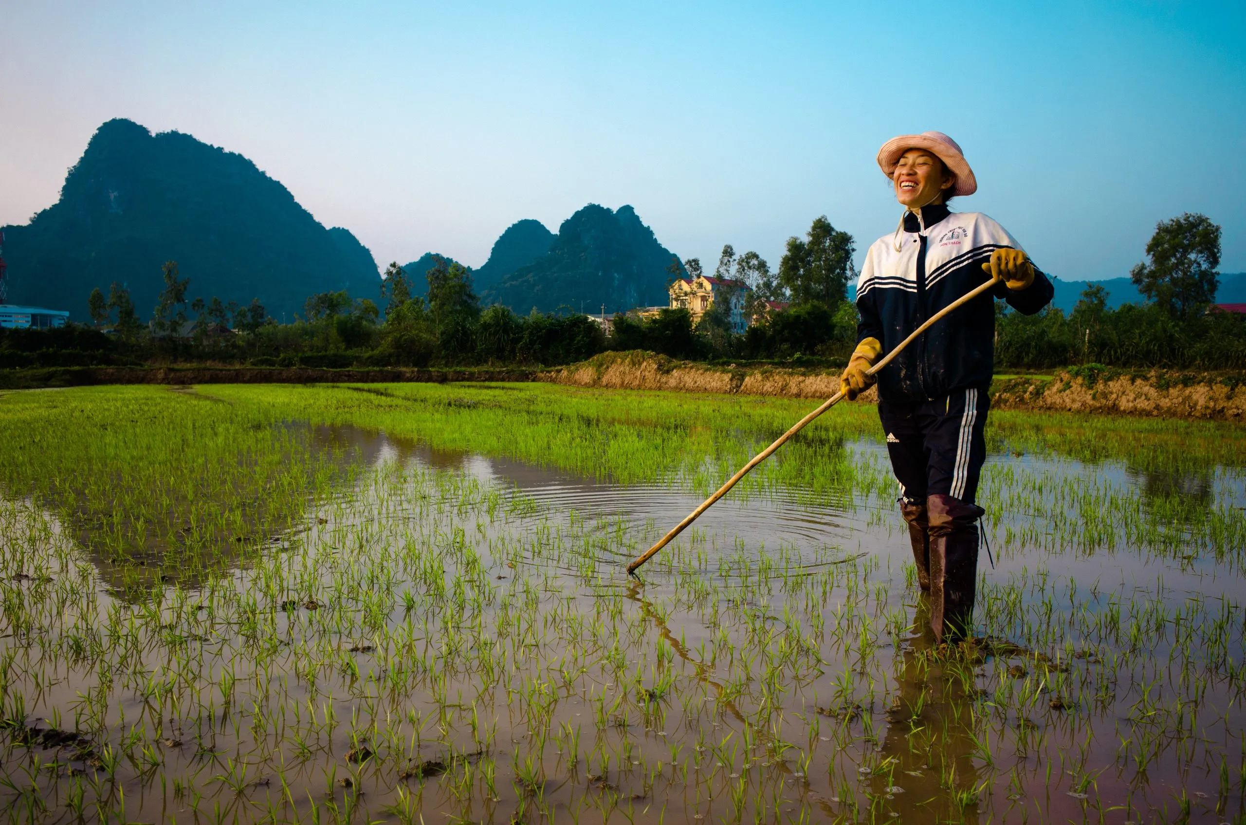 A Vietnamese rice farmer in a conical hat smiles at the camera while standing in a flooded paddy, karst peaks rising behind.