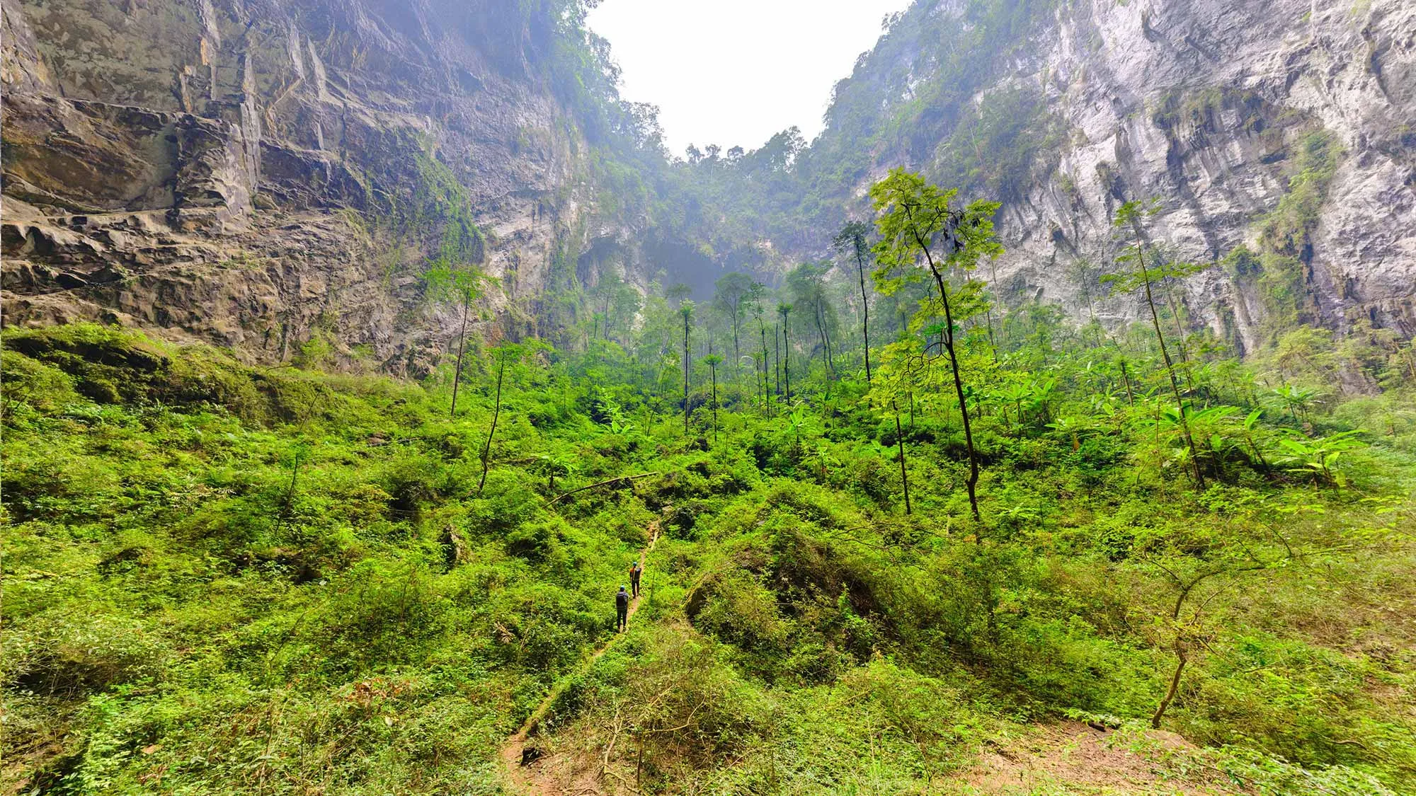 Vy upp mot djungeln i den andra dolinen i Hang Son Doong-grottan i Vietnam, med höga kalkstensväggar på båda sidor.